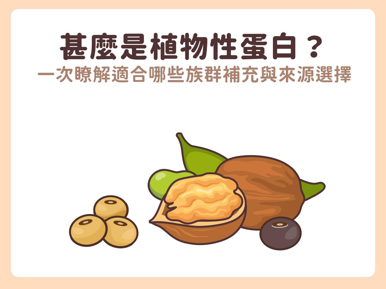 清新插畫風格呈現各類豆類與堅果，象徵植物性蛋白質作為永續飲食的核心，為健身與健康注入自然且純淨的能量。